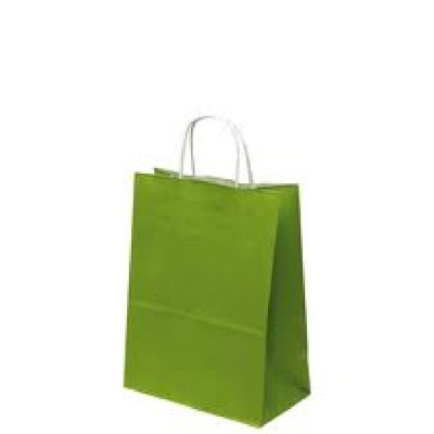50 Sacs Kraft 24 x 12 x 31cm 100gr poignées torsadées vert amande