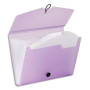 VIQ TRIEUR PROPYSOFT 12T ASS 096889-05