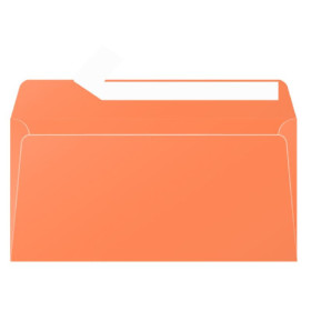 Paquet de 20 enveloppes Pollen 110x220 clémentine