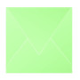 Paquet de 20 enveloppes Pollen 140x140 vert