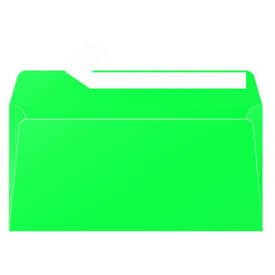 Paquet de 20 enveloppes Pollen 110x220 vert sapin