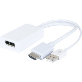 CONVERTISSEUR HDMI VERS DISPLAYPORT