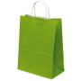 50 Sacs Kraft 35 x 14 x 44cm 100gr Vert amande torsadées