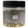 Boîte 750 Punaises Laiton 9,5mm