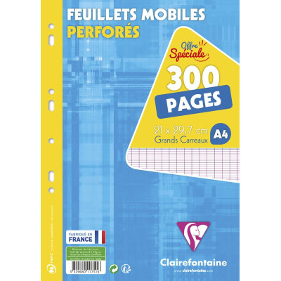 Feuillets Mobiles 21x29,7cm 300p séyès sous film
