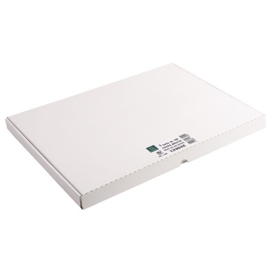 ETUI 100 F.BRISTOL BLANC 297/420