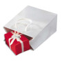 EMB P/25 SACS PELLI BLC 19X27X10CM PE19B - SG145E
