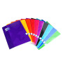 CAHIER OXFORD AGRAFE 210X297 96P OPTIK P. SEYES