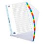 INTERCALAIRES NUMERIQUES A4 31 POSITIONS COLORE 170G ASSORTI