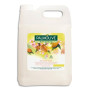 PMV B/5L CREME LAV PALMOLIVE FR05061A - SG31D