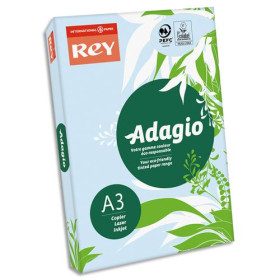 INA R/500F ADAG A3 80G BLEU PA 8001549