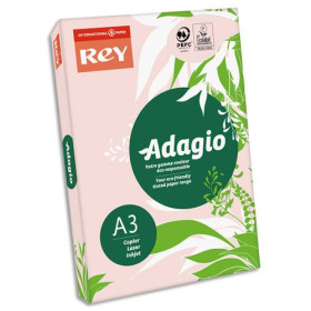 INA R/500F ADAG A3 80G ROSE PA 8001669