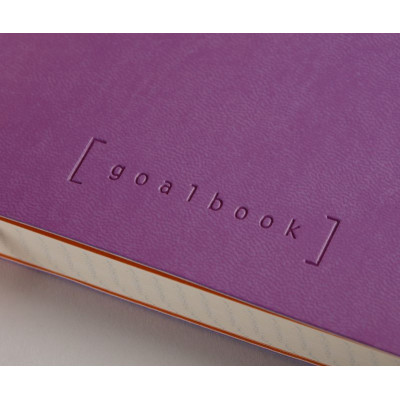 Rhodiarama Goalbook souple VIOLET A5 240p Q.5x5 papier ivoire 90g