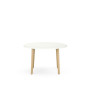 ROBIN TABLE REU.H73,5 D120 PRE PERCAGE OBT MILIEU PLT MG SO MS