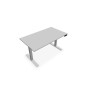 LUTZ EUR T L140 P80CM EP19 PLAT.NU MOTORISE MG SO