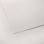 CAN FEUIL C A GRIN 224G 50X65 C31002S011