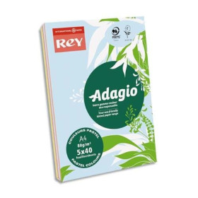 INA R/200 ADAG A4 80G PASTELVIF 8001654