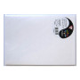 Sachet de 5 enveloppes Pollen 162x229 blanc irisé