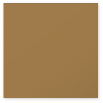 Paquet de 25 cartes Pollen 160x160 Kraft 200g
