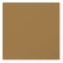 Paquet de 25 cartes Pollen 135x135 Kraft 200g
