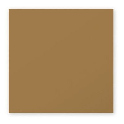 Paquet de 25 cartes Pollen 135x135 Kraft 200g