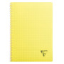 Linicolor cahier reliure intégrale 21x29,7cm 100p Q.5x5 assortiment FRESH