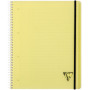 Linicolor Proactiv'Book 22,5x29,7cm 160p séyès cadré perfo. 4 trous + 1 pochette