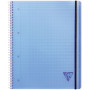Linicolor Proactiv'Book 22,5x29,7cm 160p Q.5x5 + marge cadré perfo. 4 trous + 1