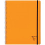 Linicolor Proactiv'Book 22,5x29,7cm 160p Q.5x5 + marge cadré perfo. 4 trous + 1