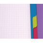 Linicolor Evolutiv'Book 22,5x29,7cm 240p Q.5x5 cadré perfo. 4 trous + 3 intercal