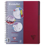 Linicolor Evolutiv'Book 22,5x29,7cm 240p Q.5x5 cadré perfo. 4 trous + 3 intercal