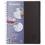 Linicolor Evolutiv'Book 22,5x29,7cm 240p Q.5x5 cadré perfo. 4 trous + 3 intercal