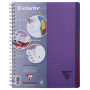 Linicolor Evolutiv'Book 22,5x29,7cm 240p Q.5x5 cadré perfo. 4 trous + 3 intercal