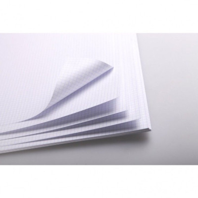 Rame Bristol blanc 50x65cm 125F 205g 5x5