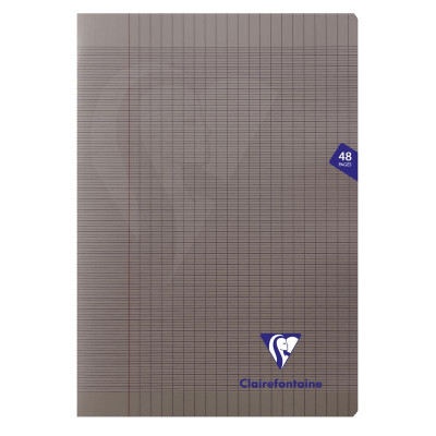 Mimesys cahier piqué polypro 21x29,7cm 48p séyès Gris