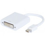 CONVERTISSEUR PLAST. MINI DP VERS DVi-D