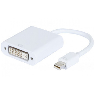 CONVERTISSEUR PLAST. MINI DP VERS DVi-D