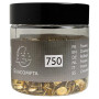 Boîte 750 Punaises Laiton 9,5mm