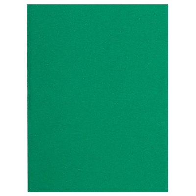 Pt 100 sous-chemises FLASH 80 vert