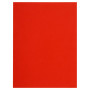 Pt 100 chemises FLASH 220 rouge