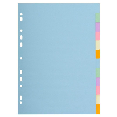 INTERC.CARTE FORTE A4 12P.Coul Pastel