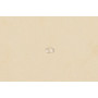 Chem 3rabs+elast A4 max.cap.carte ivoire