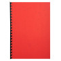 PK 100F FOREVER ROUGE A4 270G