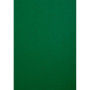 PK 100 couvertures FOREVER Vert A4 270G