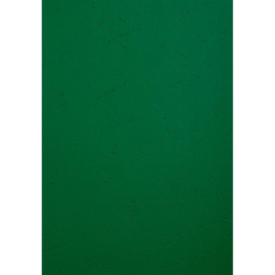 PK 100 couvertures FOREVER Vert A4 270G