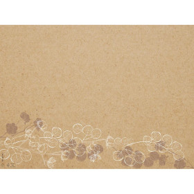 400 Sets de table papier 30x40 Floral