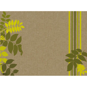 400 Sets de table papier 30x40 Nature
