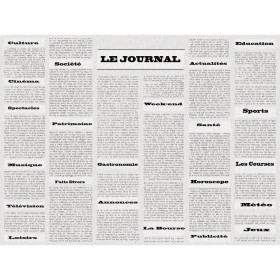 400 Sets de table papier 30x40 Journal