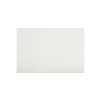 500 Sets de table TISS LACK30x40Blanc Gl.