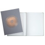 Livre d'or 100p or 27x22cm Ellipse gris
